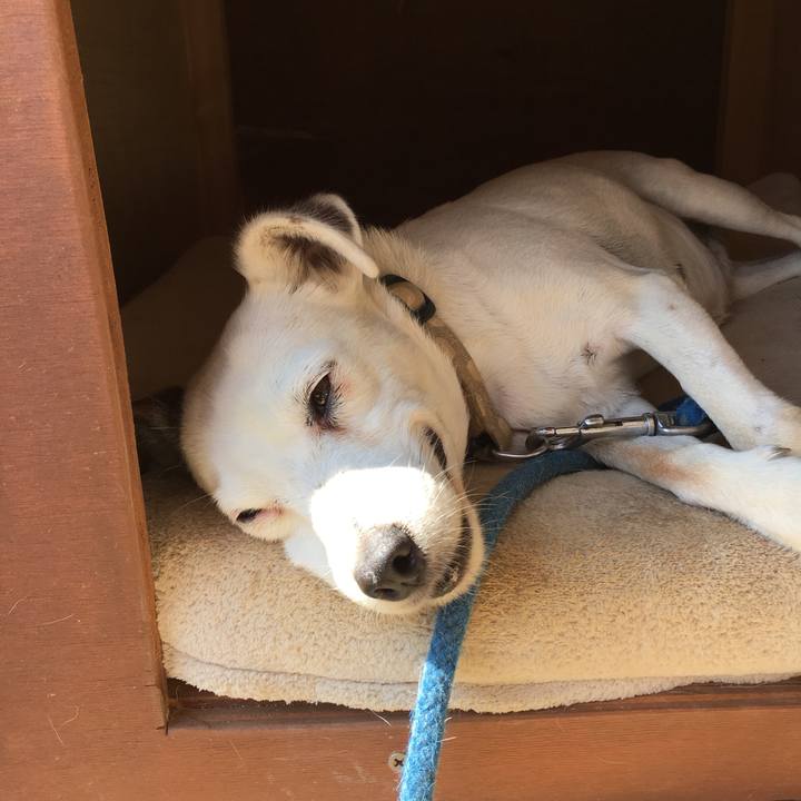 569c6b16 5663 4fdf 8b60 a7783b12f4e5