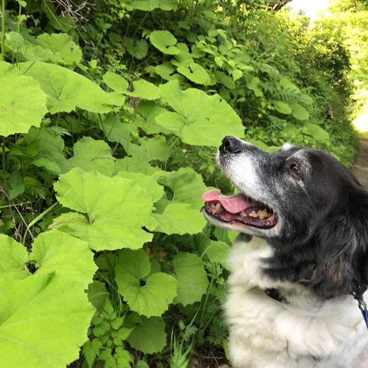 569d005d 7a40 4851 af98 bcc53eaa351f