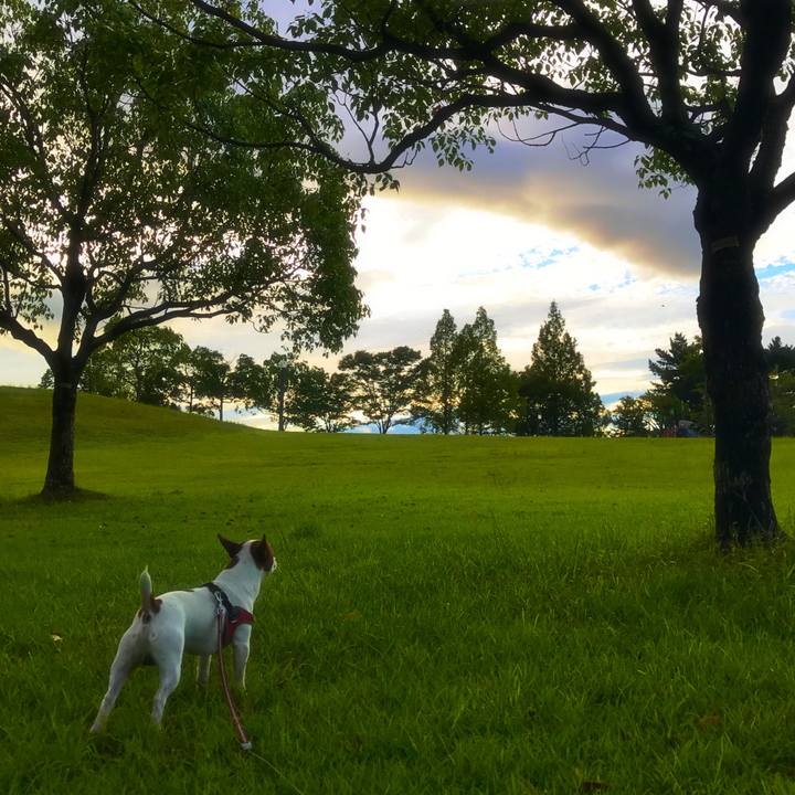 569d62ca dafd 419a adfa 2289f01e850f