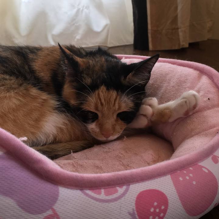 569d8958 4329 4ad9 ace1 925de8282750