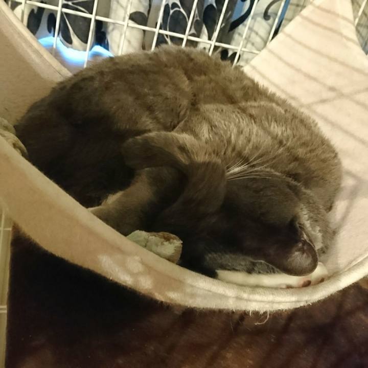 569e603e bb96 4eca a64b 76bef8b6229e