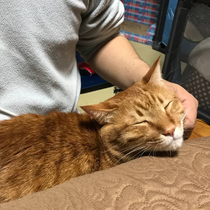 569ea2fc 401b 4408 a913 29752d46e546