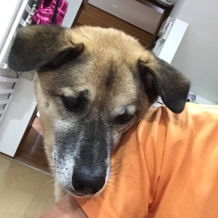 569f14ce ceac 4dd7 94b6 f0f3f28c3089