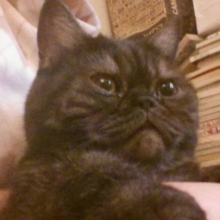 56a032b9 870b 467d acc3 4f4f6bbbf6cc