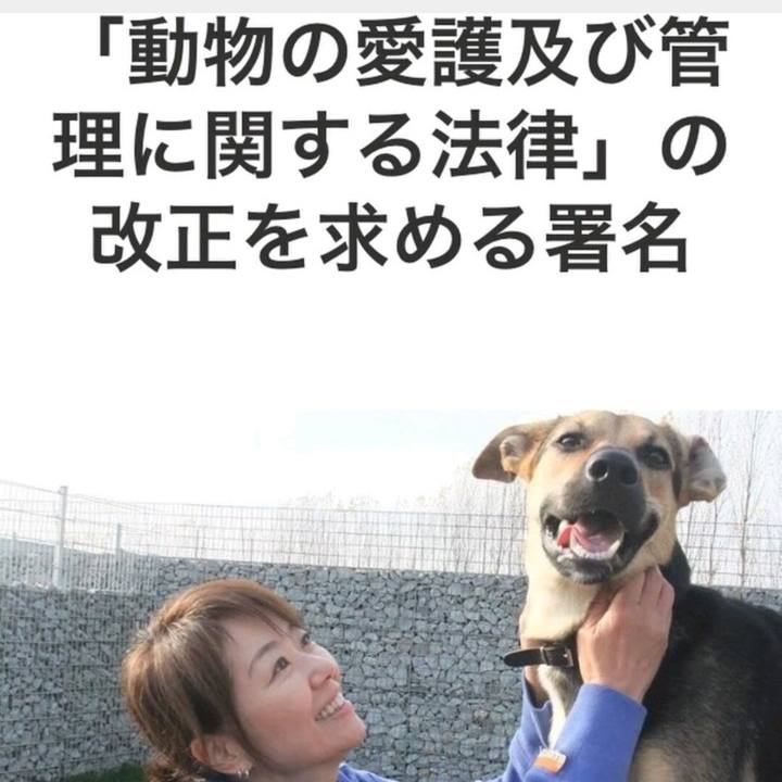 56a09e88 8520 4467 9295 527a9a1601cc