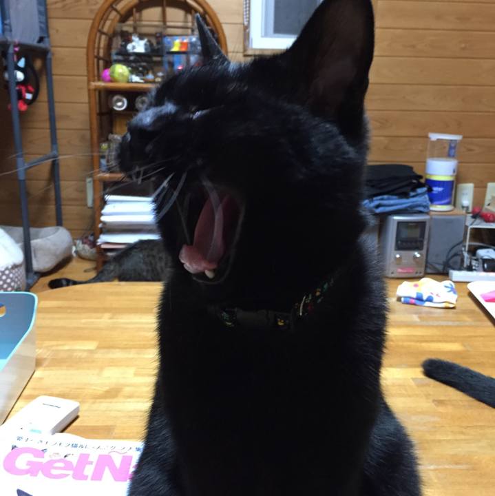 56a0f444 6f43 4154 baf6 159d0e56d8a8