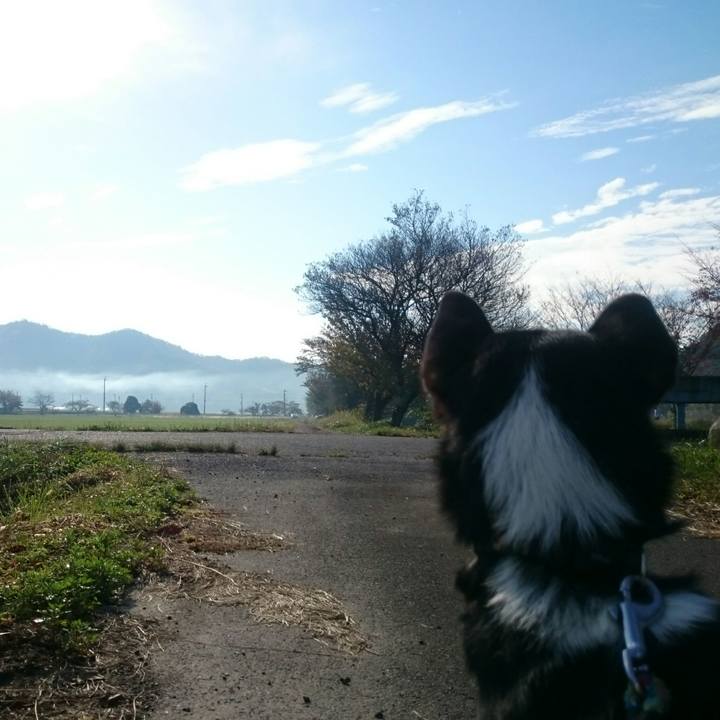 56a103c9 df2b 44fc 9b19 246bb1a5cf8e