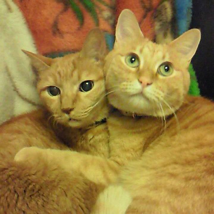 56a1b48a f7a4 48e3 b514 c84ec0e69e84