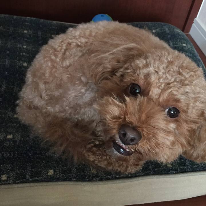 56a1f0dc 1663 47aa 97bd b663d9724a86