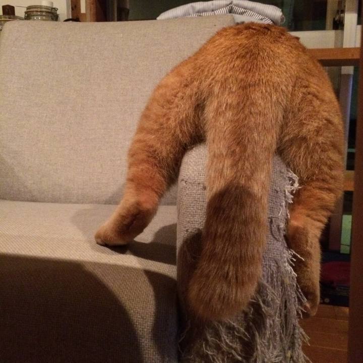 56a26134 f5e2 4a2b 95a0 d6ca8fd5e129