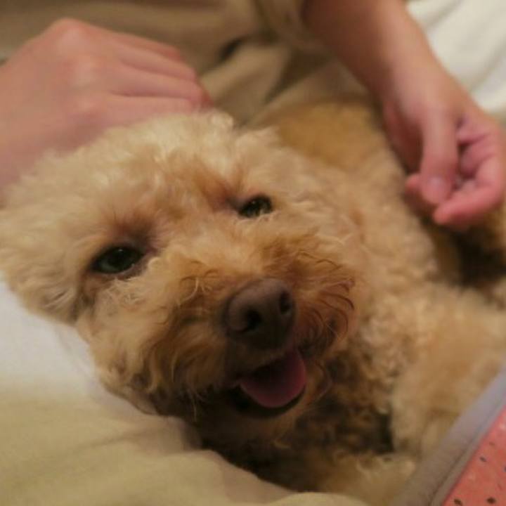 56a28d76 0830 42d7 bf19 b093b38ec0ad