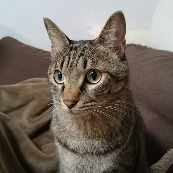 56a2c036 4f9e 4767 a5d1 695969de3570