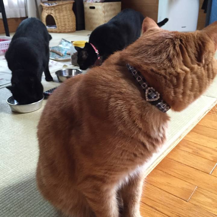 56a34491 f513 4768 a66d 0093943a8c56