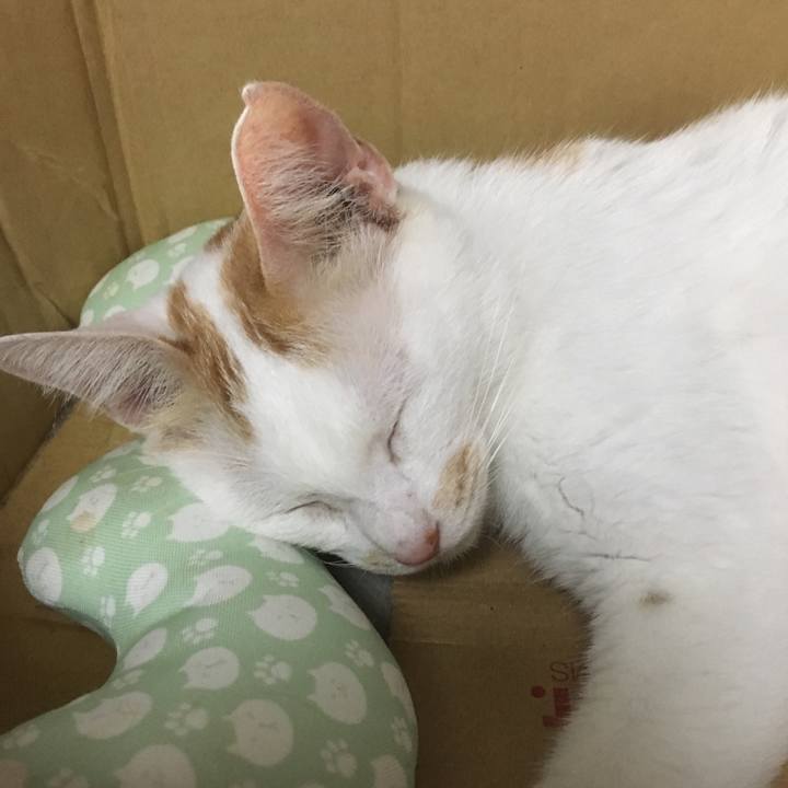 56a3665b 779e 42ae b02d 7353f996e19f