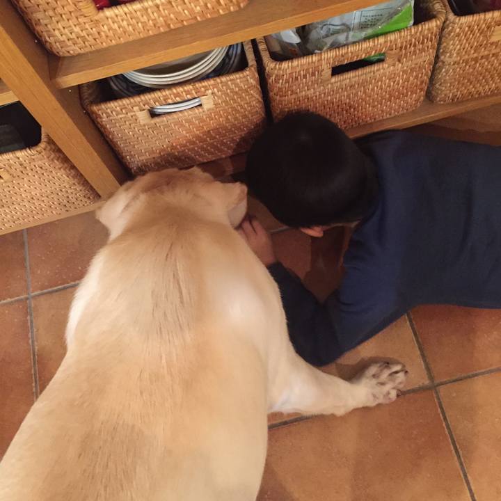 56a3c211 b940 4b78 b67a 3e44f5ff032e