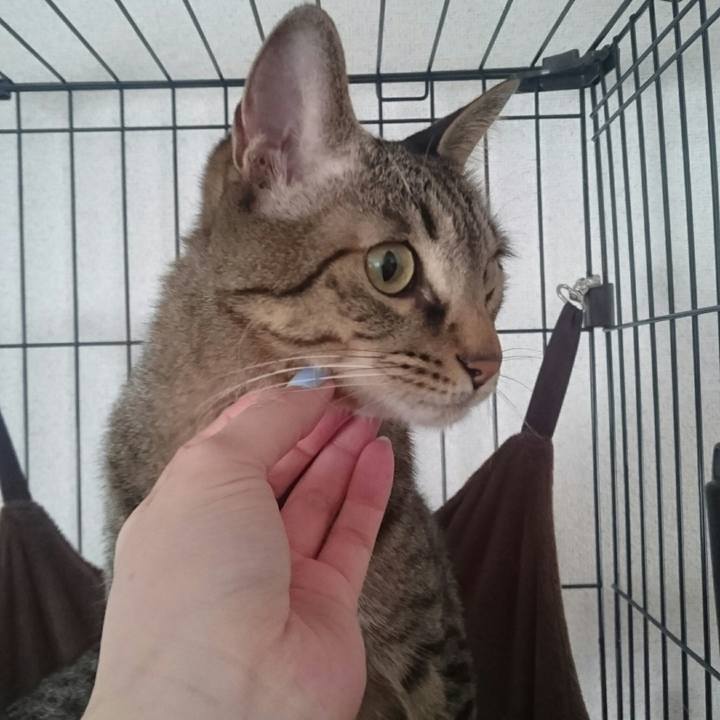 56a3cfed 4f2e 4aa3 bf19 1e51b3b21ada