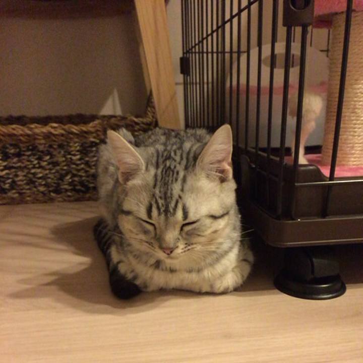 56a40cf5 90e4 44d7 aca9 6a1e596f5e23