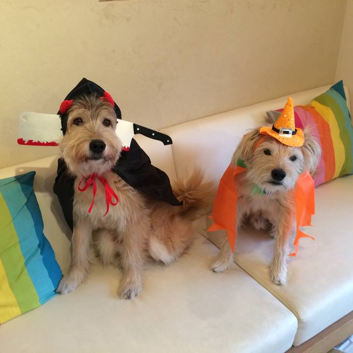 56a4832f c081 4555 98aa 10505c6fe65c