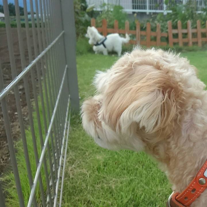 56a4a4df 3314 4a05 832a 35dc896c3293