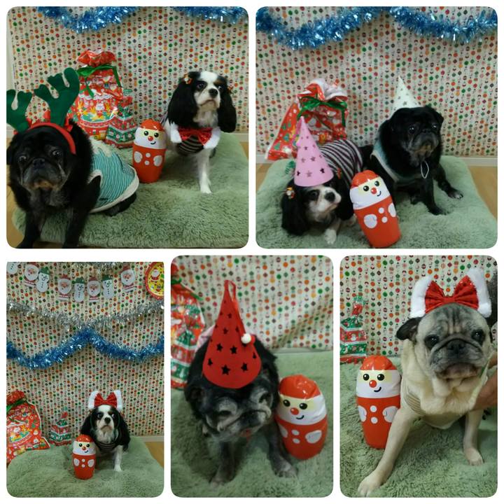 56a4ca01 c396 4450 91c4 c597c69960ac