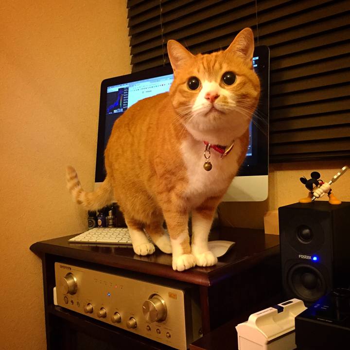 56a4d2b0 9f62 436a aef0 cc28d7021507