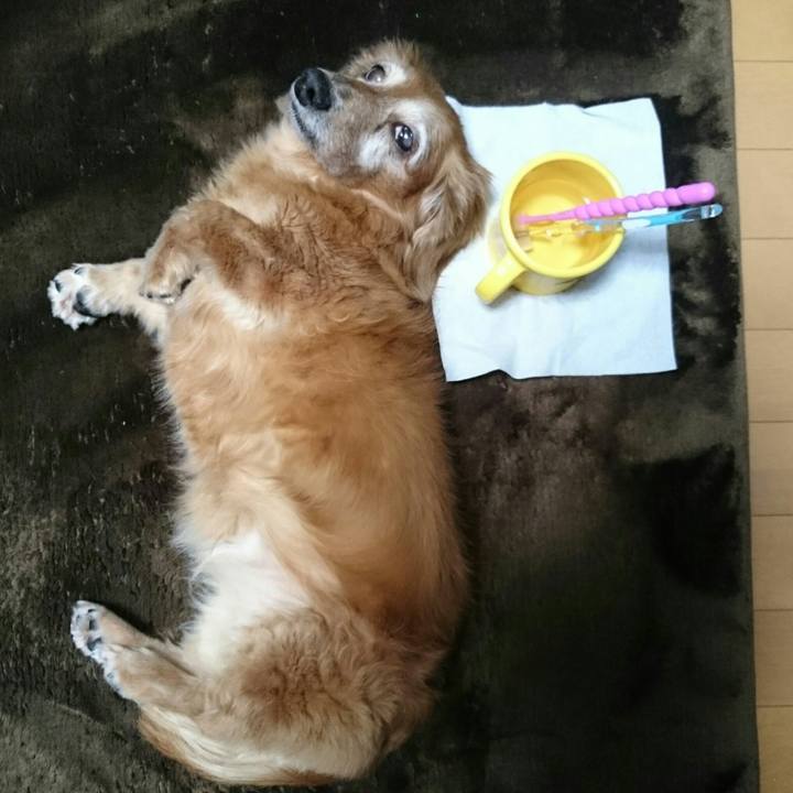 56a564b2 ac1f 4e86 8349 9b83b065eaf9