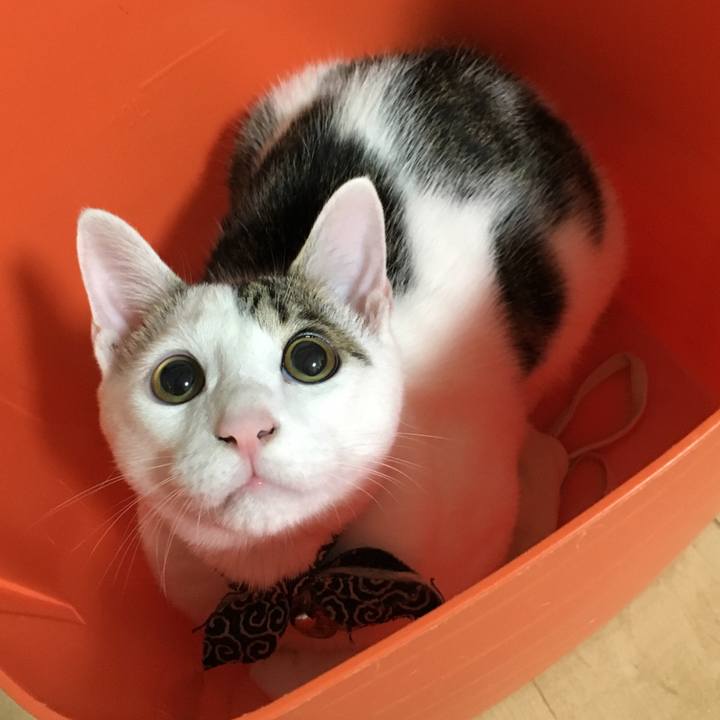 56a59dc0 641f 48ef 93d7 2cca125da21b