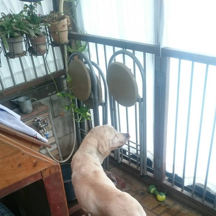 56a63cc3 ccb0 4e3a 91dc c4ad4caa5c71