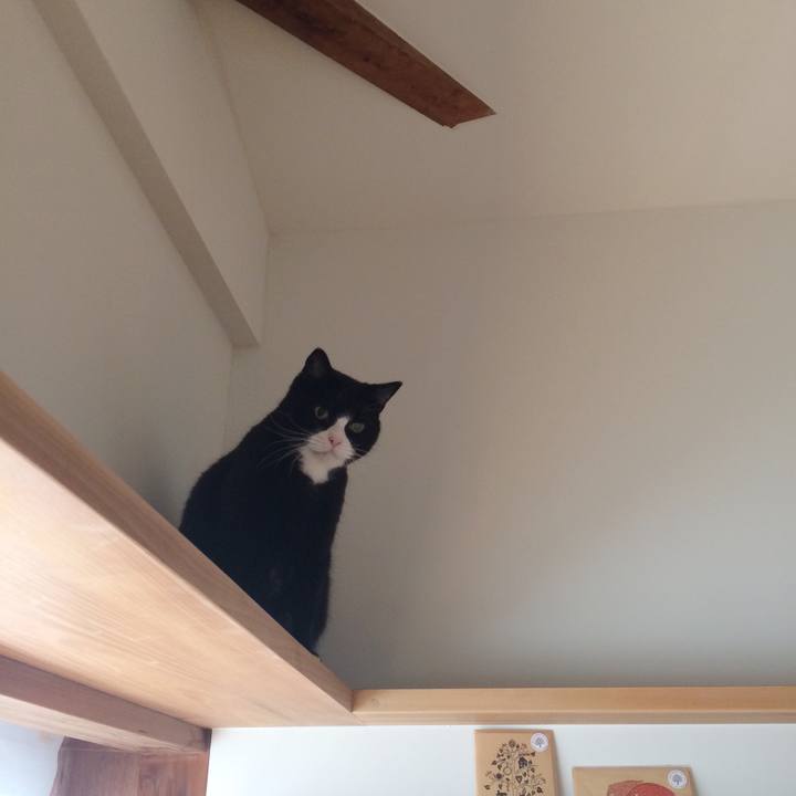 56a6e3da 027e 40af 994e e1833d2e26c3