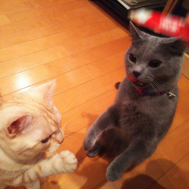 56a71da1 7696 4f26 ba42 3edb05377e24