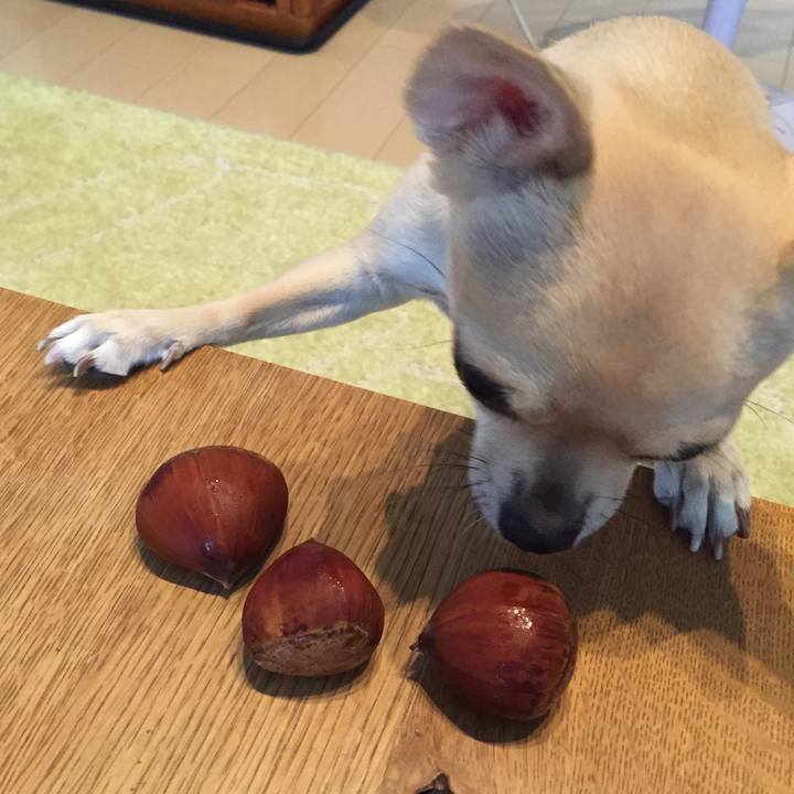 56a752b1 f9a3 4eab bb58 60a727c20530