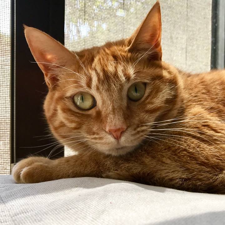 56a794b6 0526 4e42 8514 6ed23d10c365