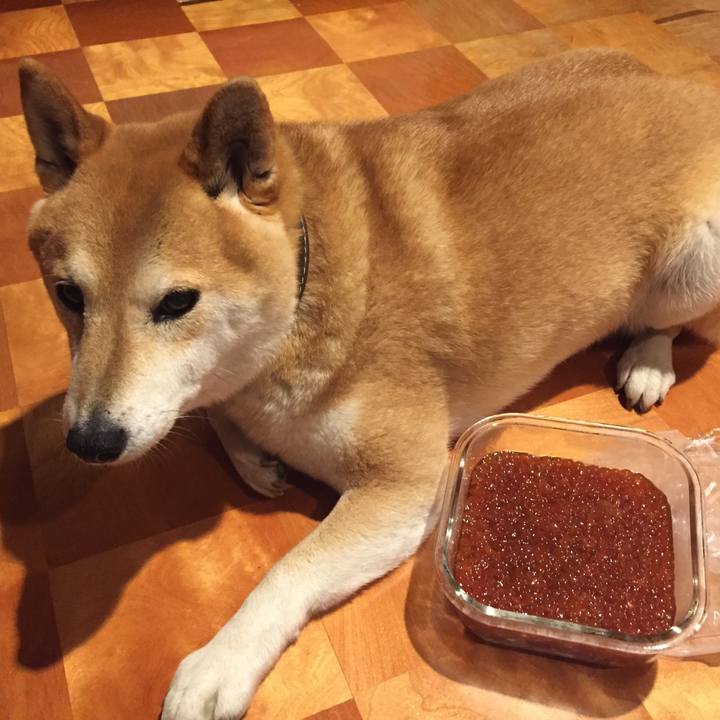 56a79eed da4c 474e a40b 574d272157d5