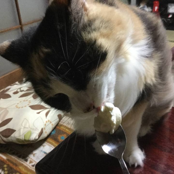 56a82881 35f6 425c 81b8 0fbe406a517e