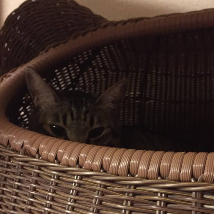 56a8b559 745e 4e09 8871 e20e359402d6