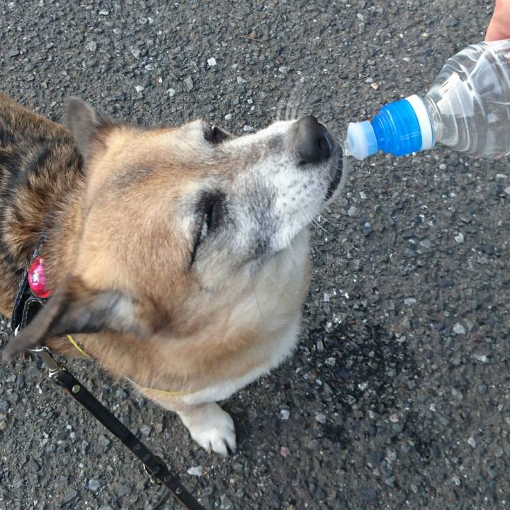 56a90db0 aafb 4094 989e d2703da77cbb