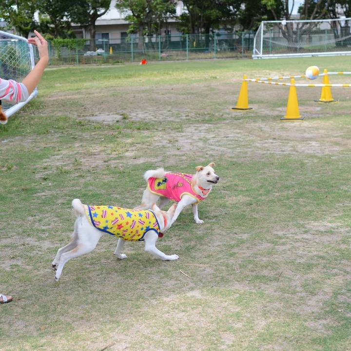 56a9b7b9 16f1 44b8 a560 07004a11b4e1