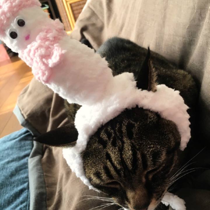 56a9d408 7b3c 454c afcc 6295620f4411