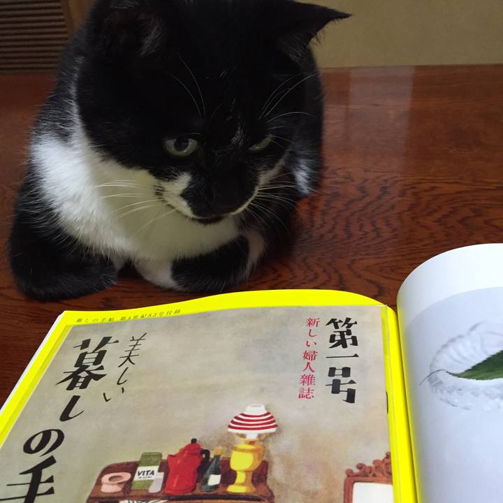 56aa1c83 d3a8 4bf0 af62 13dbb255386c