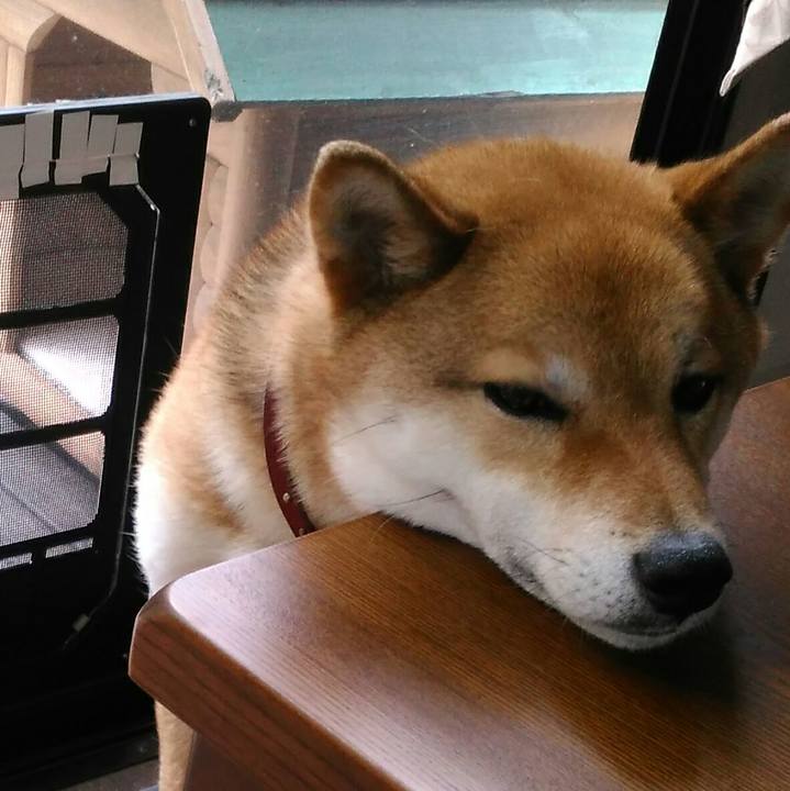 56aa589b cb4e 4148 8a37 59eb9d8f1cdb