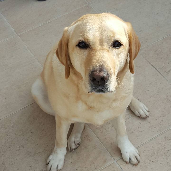 56aa7cdd c505 4293 b7d2 344908255d87