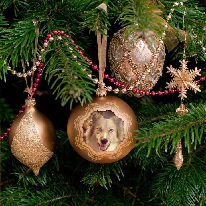 56ab301e c69e 44d5 9003 a52aafcf9155