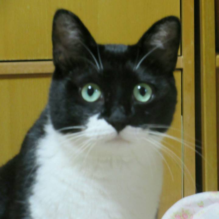 56abbd45 1940 4d5e a37a 994efa9f0541