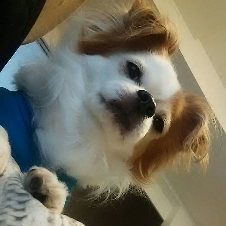 56acd9c2 5c5d 4cb2 8265 a76a517841da