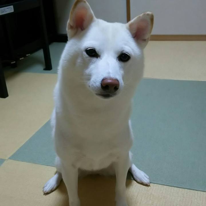 56ad4001 c146 41d0 beaf 3ac80410ccb7