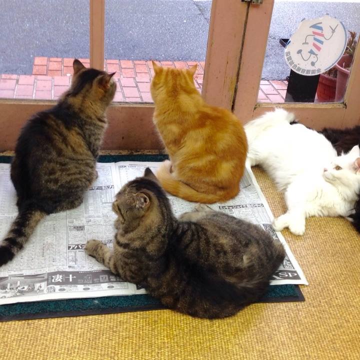 56ad7149 2f05 4014 947e 0aad6a9eff23