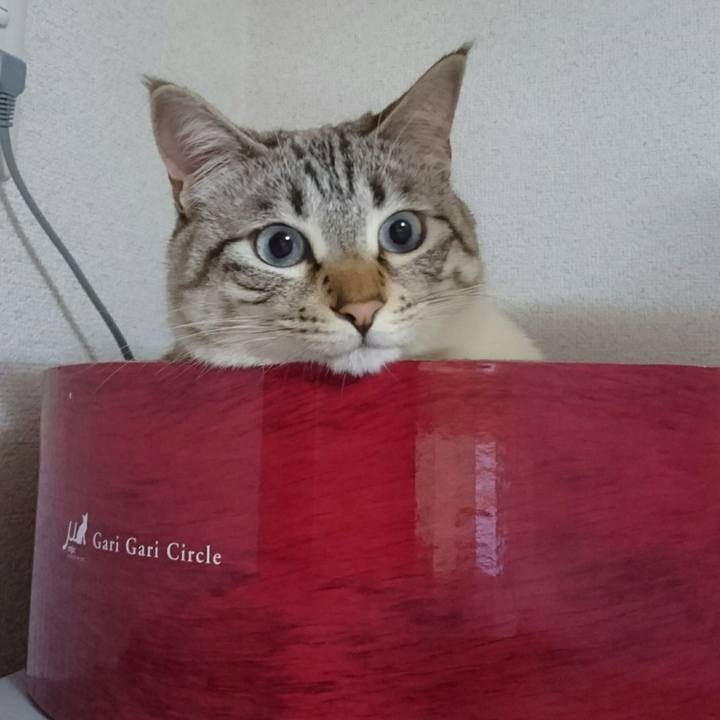 56ad7595 4a0c 433c 87e0 3c1bac8ab087