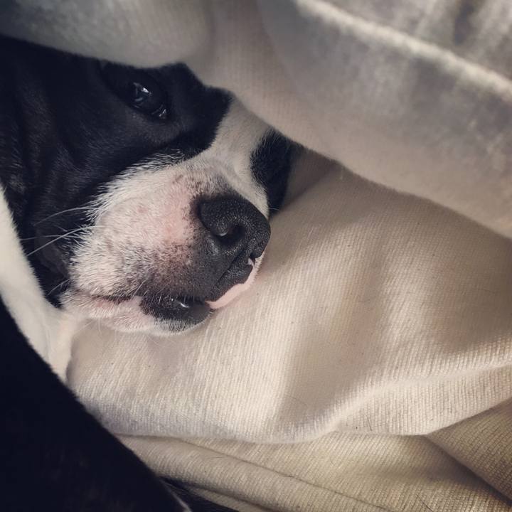 56ad7924 c90a 4ba5 8fed 91687b1e611f