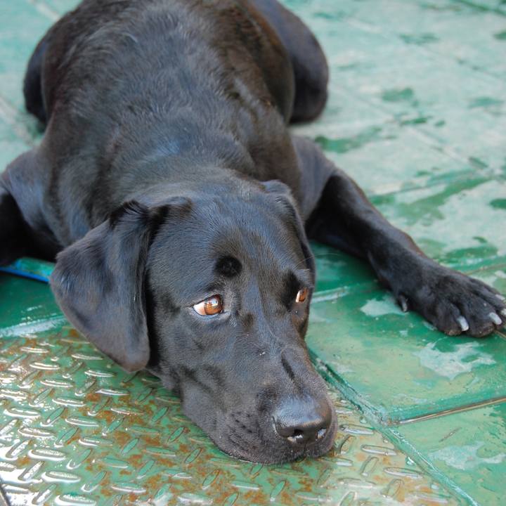 56adc9f3 6875 420a 8e6e 0eb989645f54