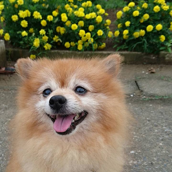 56ae299c e0a3 4ce9 852d df9f32387926